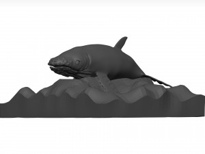 Humpback whale 3D Model