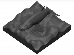 Humpback whale 3D Model