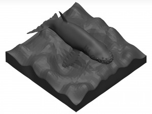 Humpback whale 3D Model