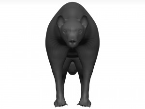 Hyena Model 3D