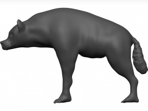 Hyena Model 3D