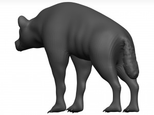 Hyena Model 3D