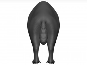 Hyena Model 3D