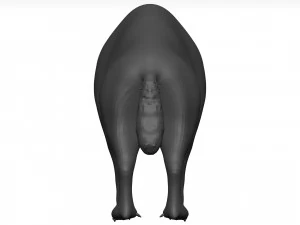 Hyena 3D Model