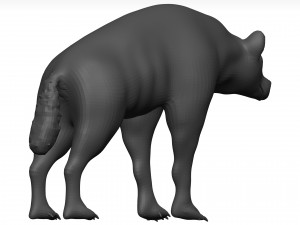 Hyena Model 3D
