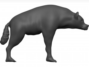 Hyena Model 3D