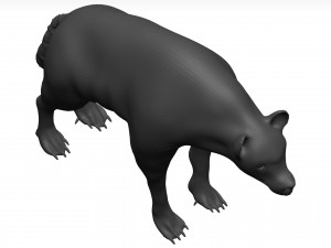 Hyena Model 3D