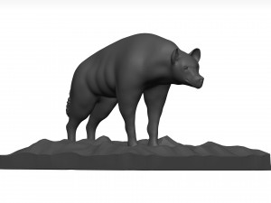 Hyena Model 3D