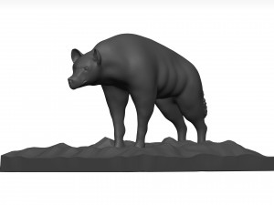 Hyena Model 3D