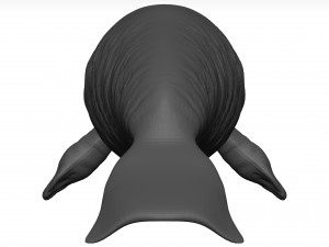 Manatee 3D-Modell