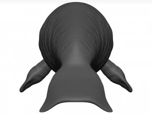 Manatee 3D Model