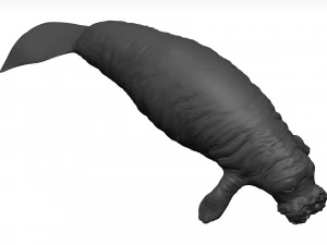 Manatee 3D Model