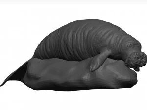 Manatee 3D Model
