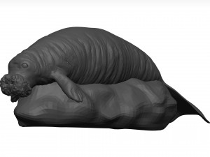 Manatee 3D-Modell