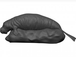 Manatee 3D-Modell