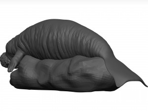 Manatee 3D-Modell