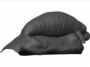 Manatee 3D-Modell