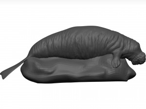 Manatee 3D-Modell