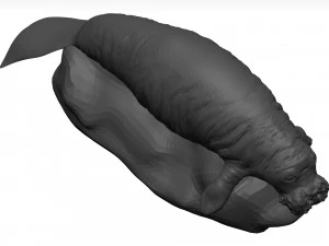 Manatee 3D Model