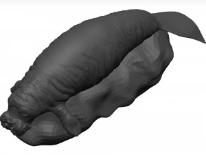 Manatee 3D Model