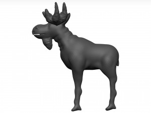 Moose 3D मॉडल