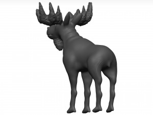 Moose 3D मॉडल