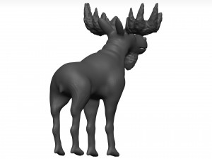 Moose 3D मॉडल