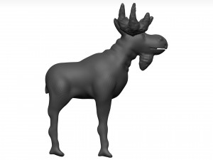 Moose 3D मॉडल