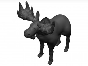 Moose 3D मॉडल