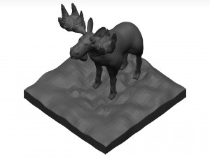 Moose 3D मॉडल
