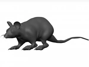老鼠 3D 模型