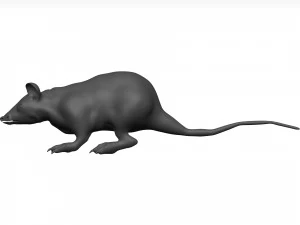 老鼠 3D 模型