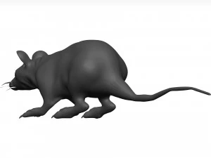 老鼠 3D 模型
