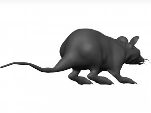 老鼠 3D 模型