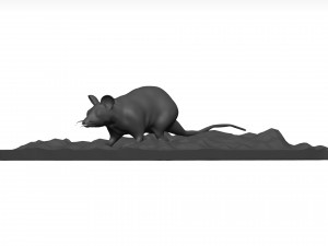Mouse 3Dモデル