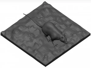 老鼠 3D 模型
