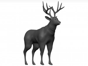 Mule deer 3D Model