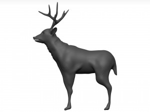 Mule deer Modello 3D