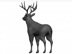 Mule deer Modello 3D