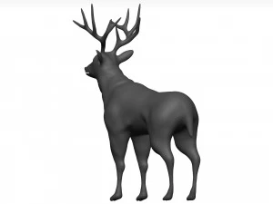 Mule deer 3D Model