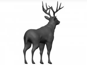 Mule deer 3D Model