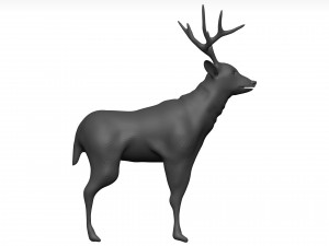 Mule deer Modello 3D