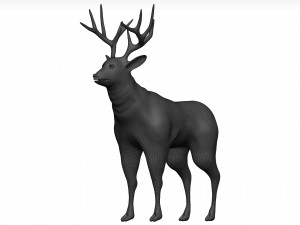 Mule deer Modello 3D