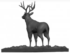 Mule deer 3D Model