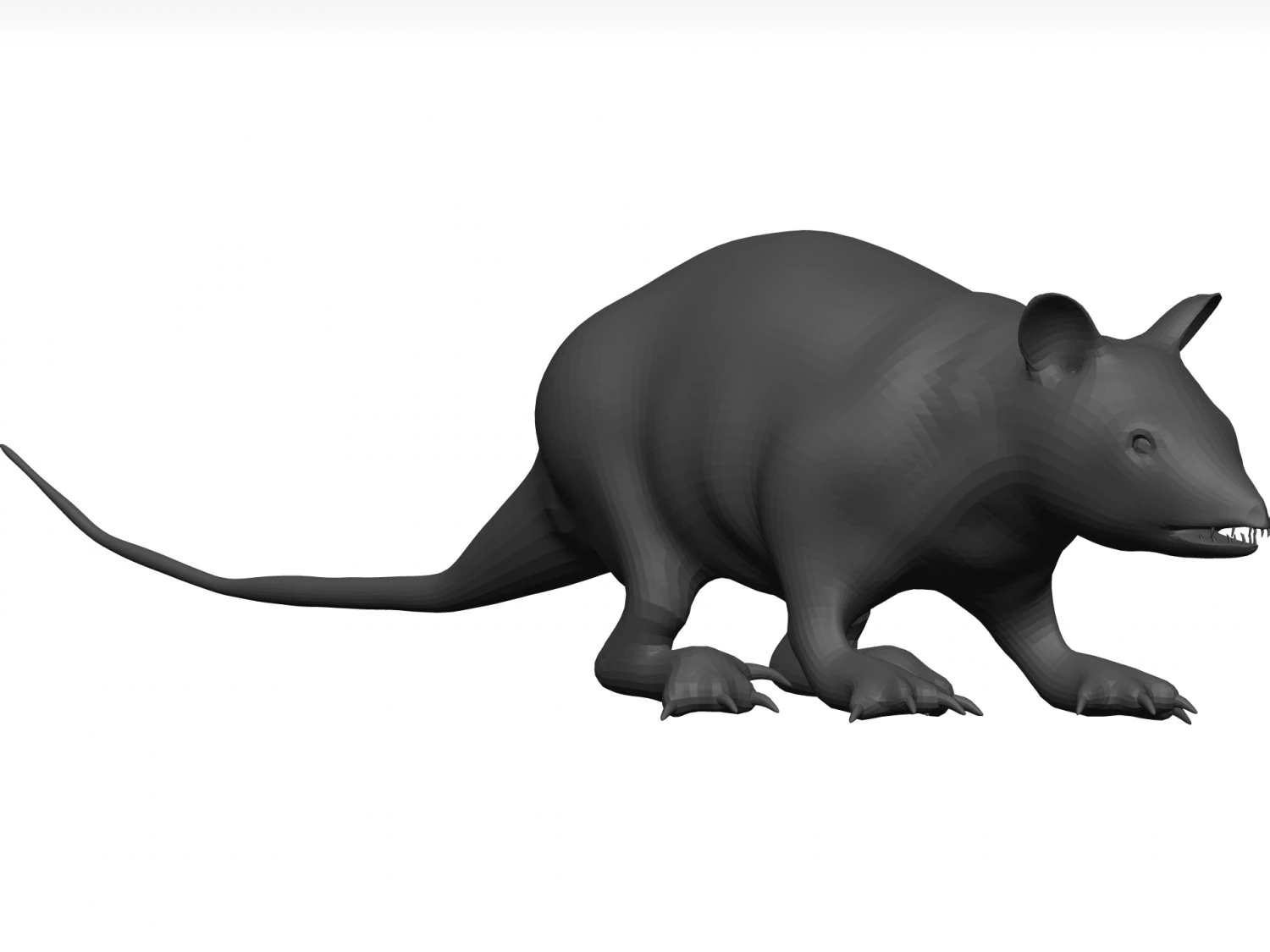 Opossum 3D Model .c4d .max .obj .3ds .fbx .stl .blend 