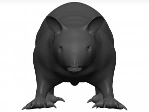 Opossum 3D Model
