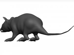 Opossum 3D Model