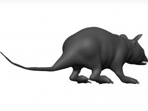 Opossum 3D 모델