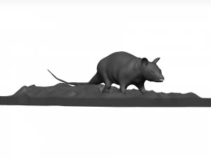 Opossum 3D Model