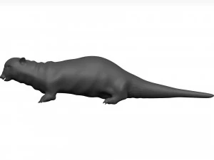 Otter 3D Model